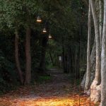 Éclairage d’ambiance 4