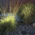 Éclairage d’ambiance 2