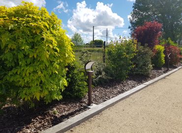 Éclairage d'Ambiance (1)