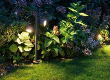 Éclairage d'Ambiance (7)