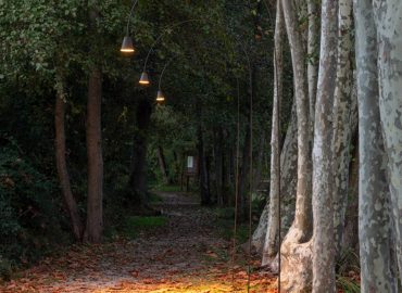 Éclairage d'Ambiance (8)