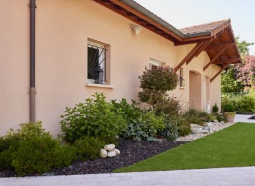 Plantations & Décors (10)