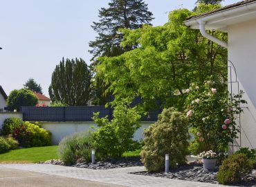 Plantations & Décors (11)