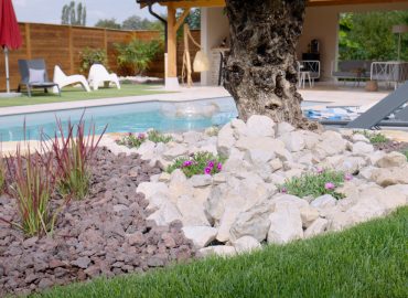 Plantations & Décors (18)