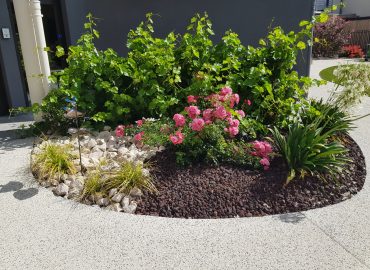 Plantations & Décors (5)