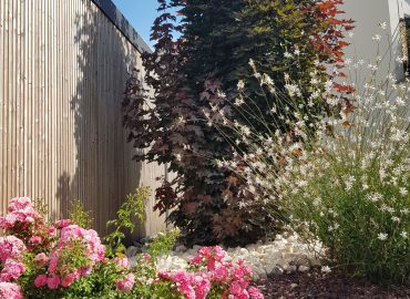 Plantations & Décors (6)